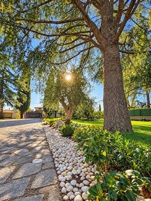A pathway lined with evenly spaced stones leading to a gated entrance, surrounded by lush greenery and trees.