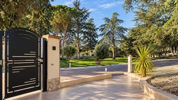 A gated entrance with a paved pathway leading to a landscaped area with trees and a palm plant.