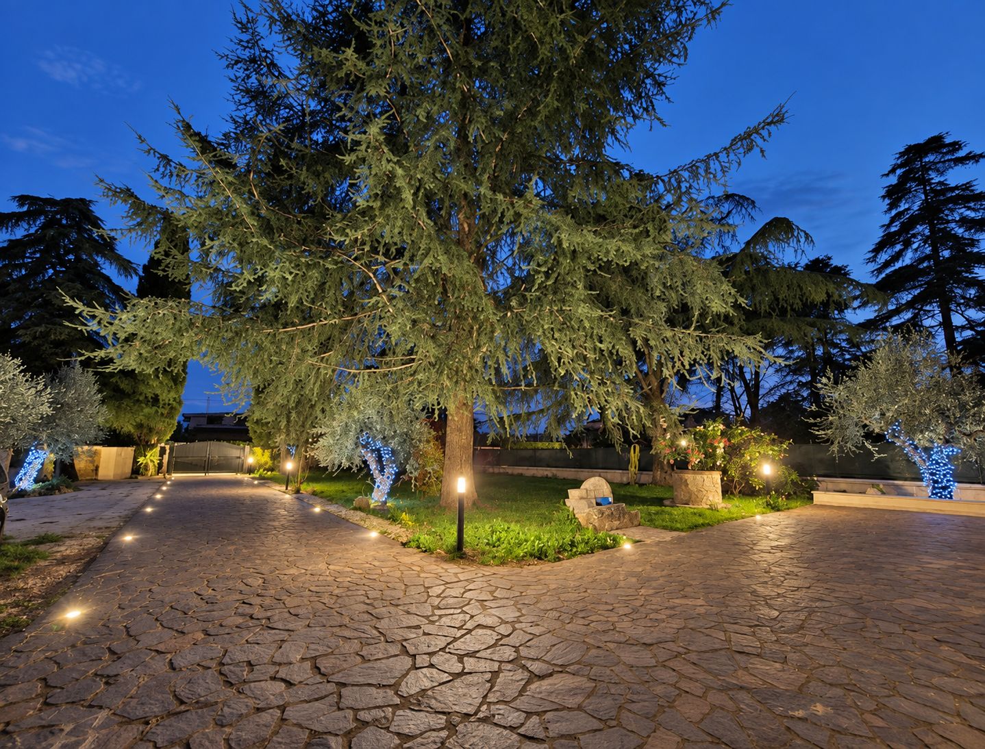 A paved pathway leading to a building entrance, surrounded by trees and illuminated by ground lights.