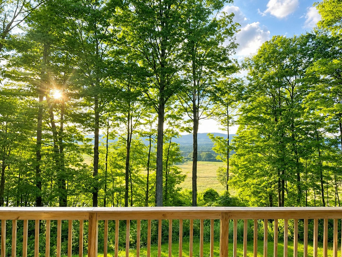 Une terrasse en bois surplombant un paysage boisé, avec vue sur des collines lointaines.