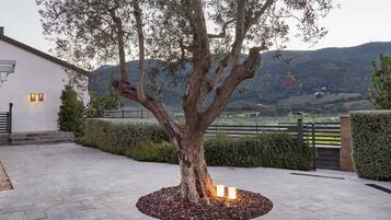 A tree with a circular stone base, a paved pathway, and a view of a hilly landscape.