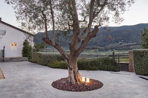 A tree with a circular stone base, a paved pathway, and a view of a hilly landscape.
