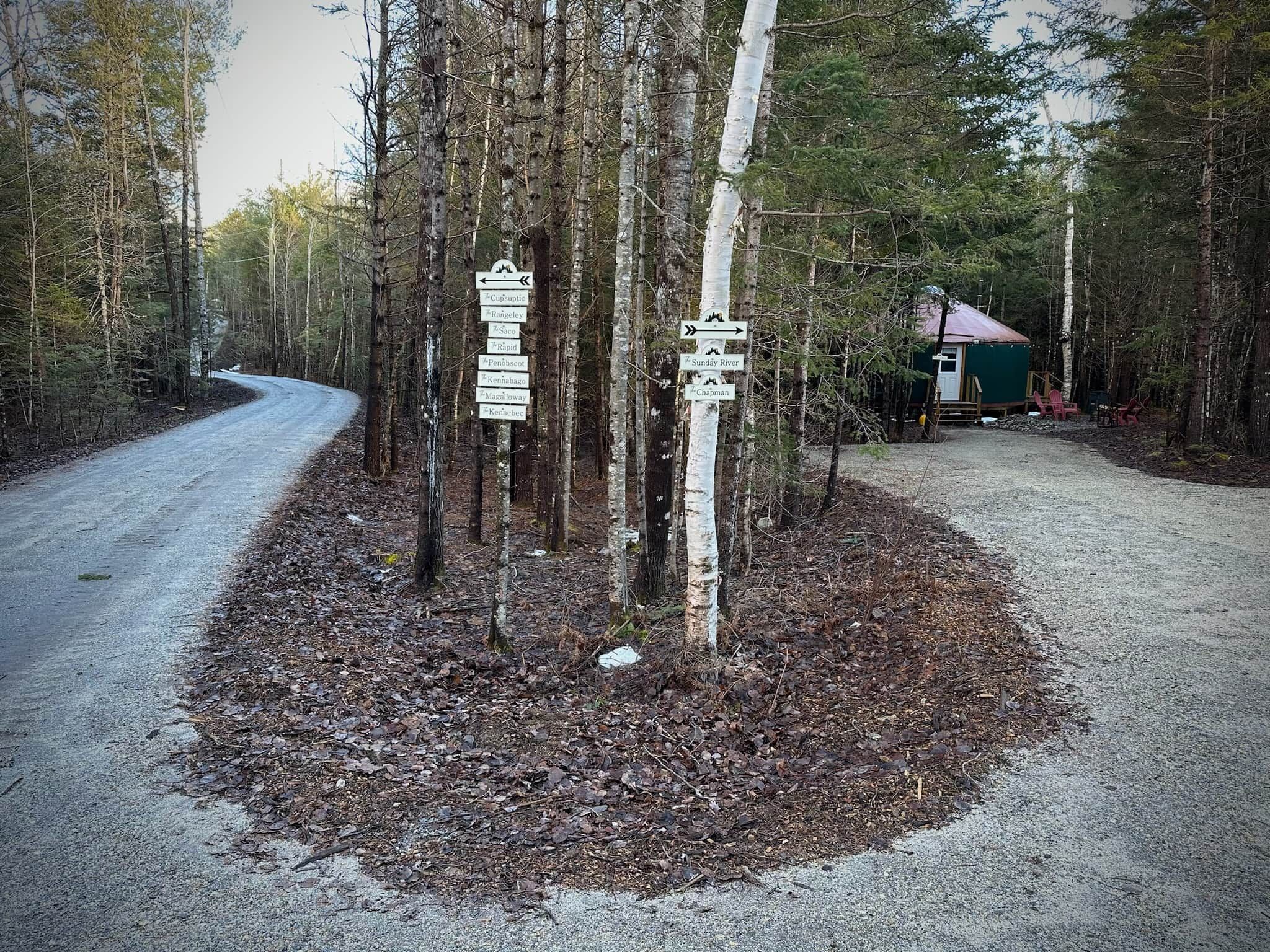 A forested area with a gravel path leading to a small cabin.