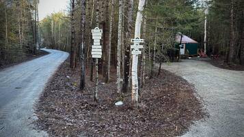 A forested area with a gravel path leading to a small cabin.