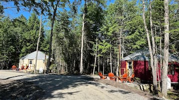 Une zone boisée comprenant deux cabanes, l’une jaune et l’autre rouge, reliées par un sentier de gravier.