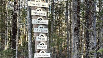 A vertical signpost with multiple destination labels, set against a backdrop of a forested area.