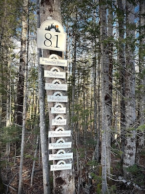 A vertical signpost with multiple destination labels, set against a backdrop of a forested area.