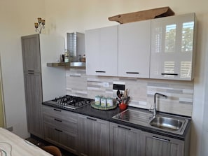 Pieni, käytännöllinen keittiö, jossa on kaasuliesi, pesuallas ja kaapistot.