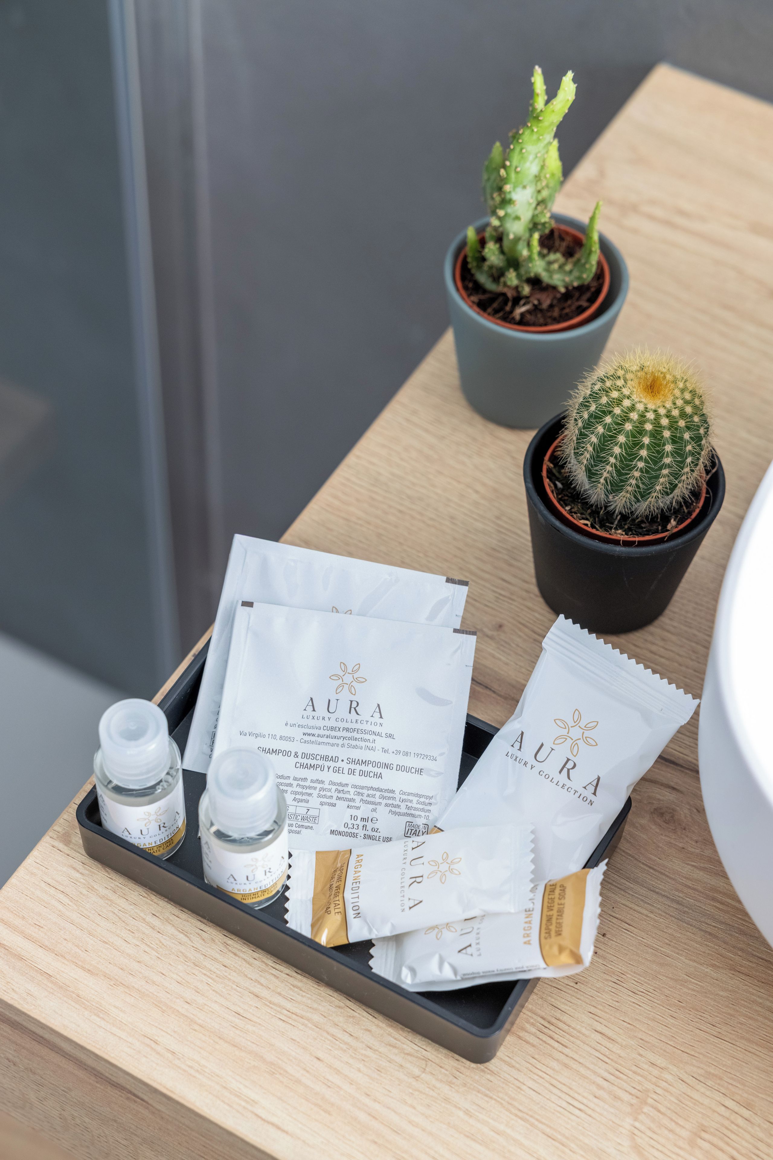 Un plateau contenant des produits de soins pour la peau et une petite plante succulente, le tout posé sur une surface en bois.