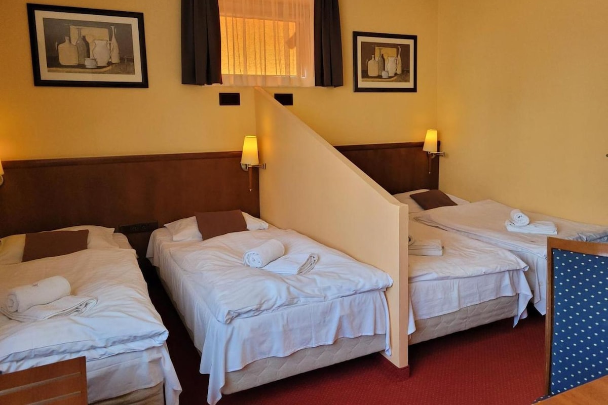 Habitación cuádruple | Escritorio, tabla de planchar con plancha, wifi gratis y ropa de cama