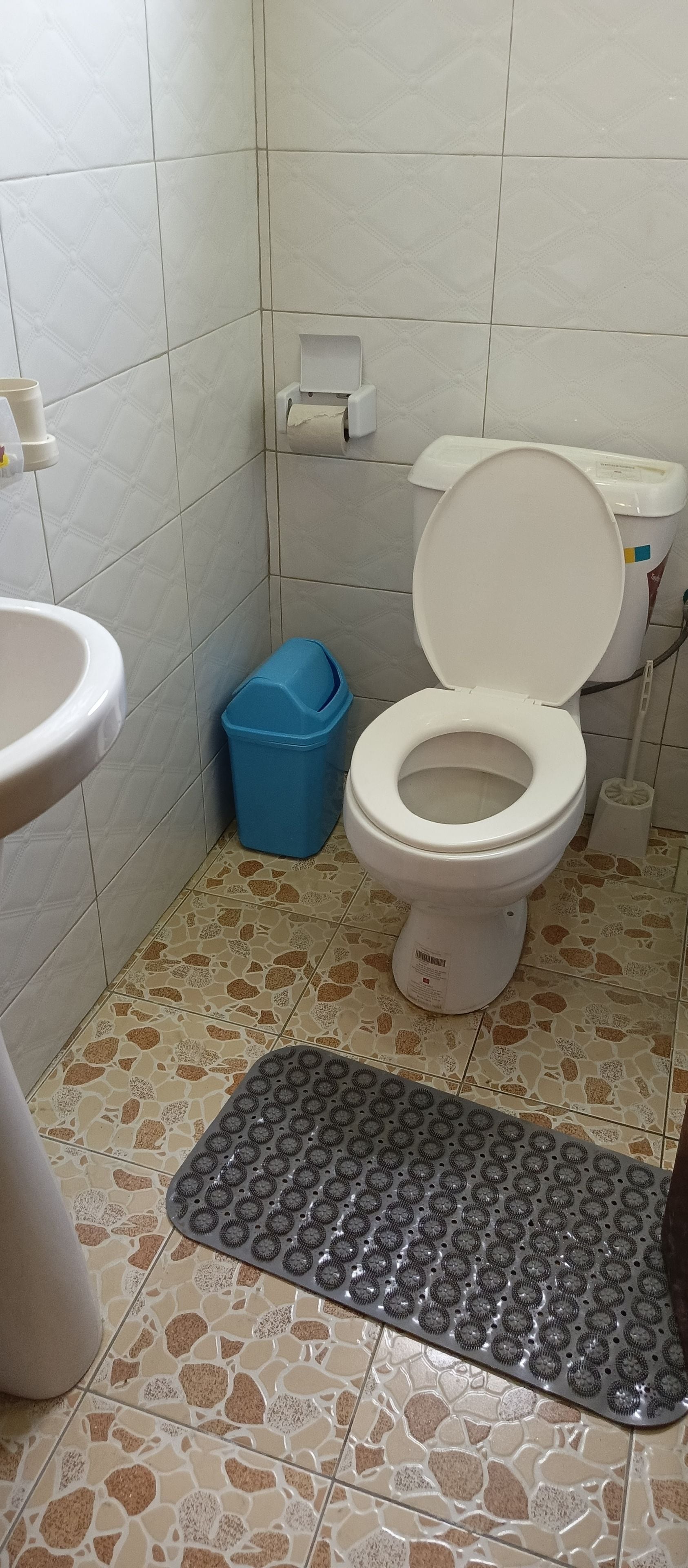 Ein Badezimmer mit Toilette, Waschbecken und einer blauen Mülleimer.