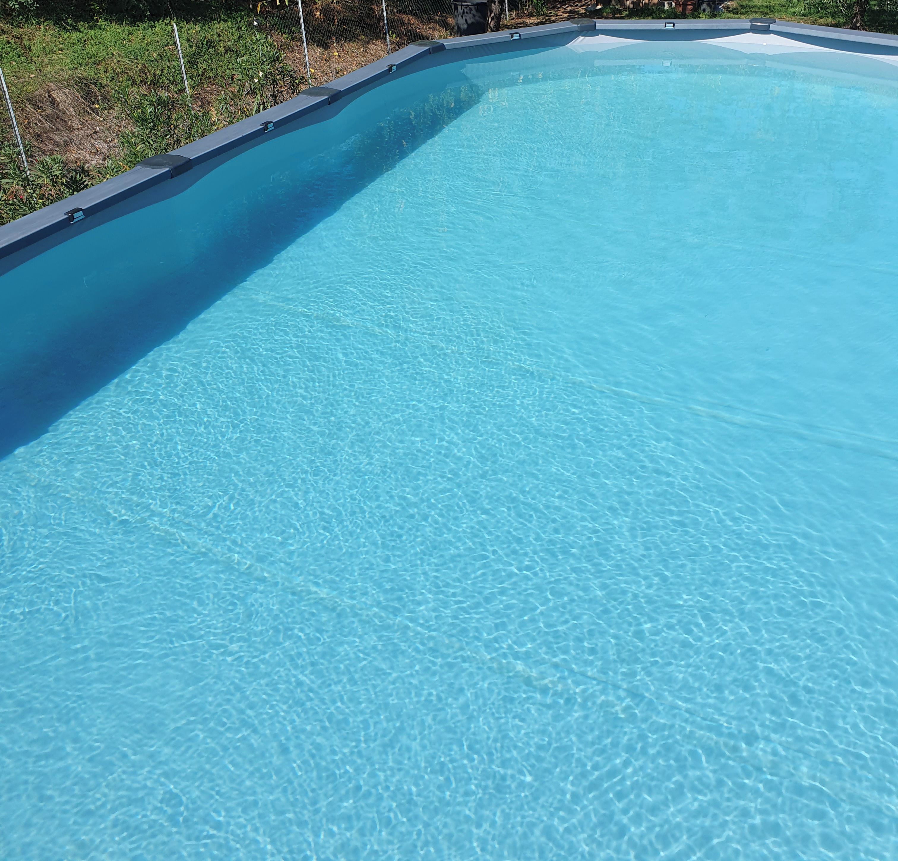 Ein klares, blaues Schwimmbecken mit gewölbter Kante und einer Rasenfläche im Hintergrund.