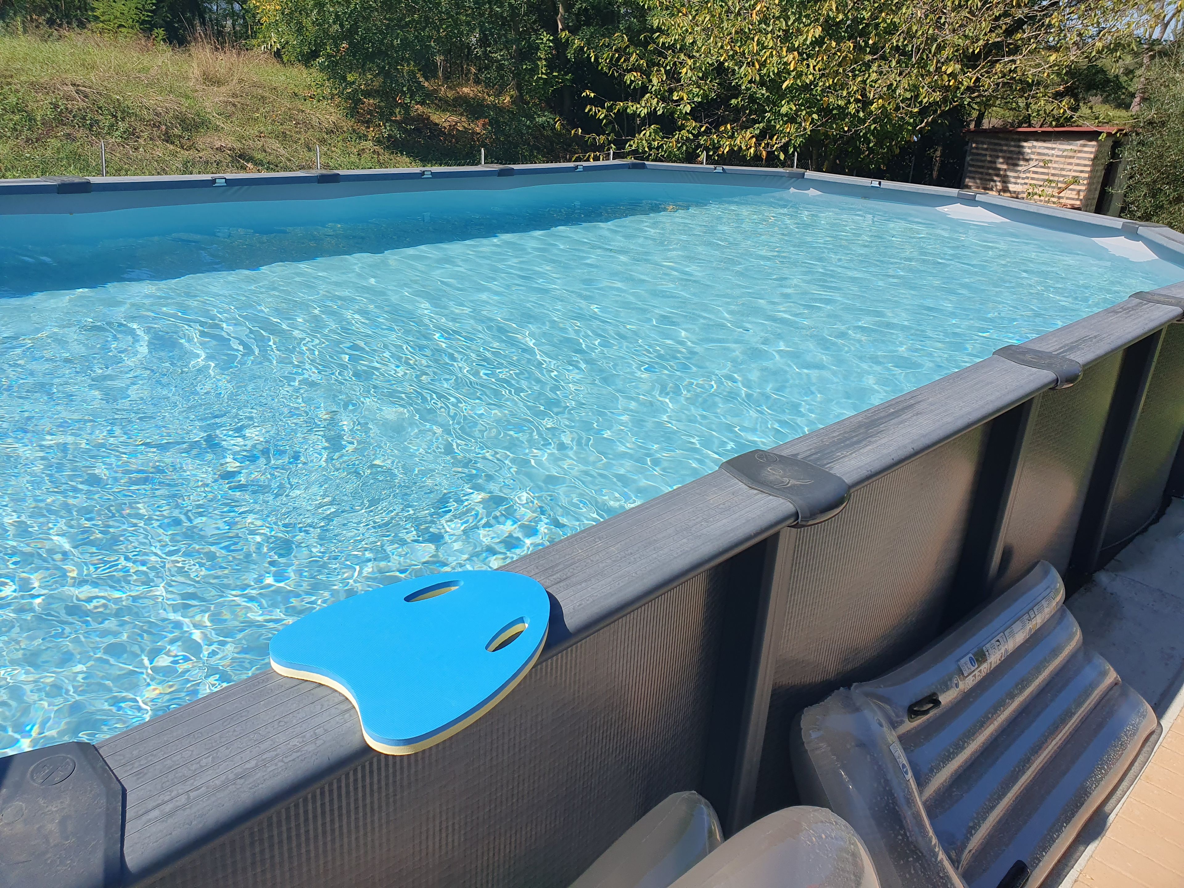 A swimming pool with a dark-colored deck and a blue safety rail.