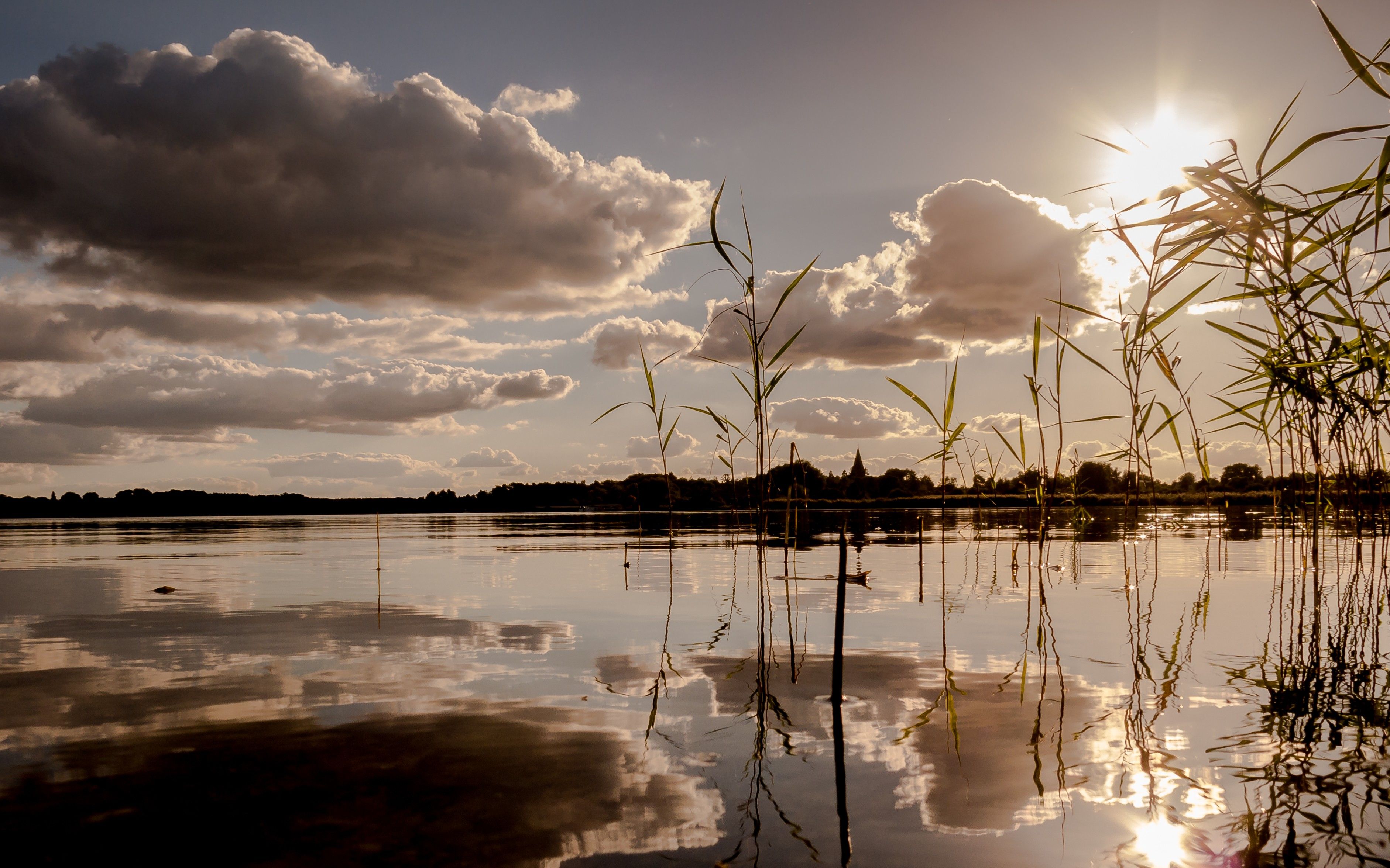 Ein ruhiger See mit Spiegelungen von hohem Gras und einem bewölkten Himmel.