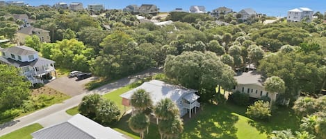 A residential area with houses surrounded by lush greenery and a view of the ocean.