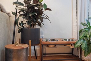 A corner of a room with a wooden table, two metal dog bowls, a potted plant, and a small stool. - Cozy 1BD Rowhome w/Private Terrace: Wash Park (Denver)