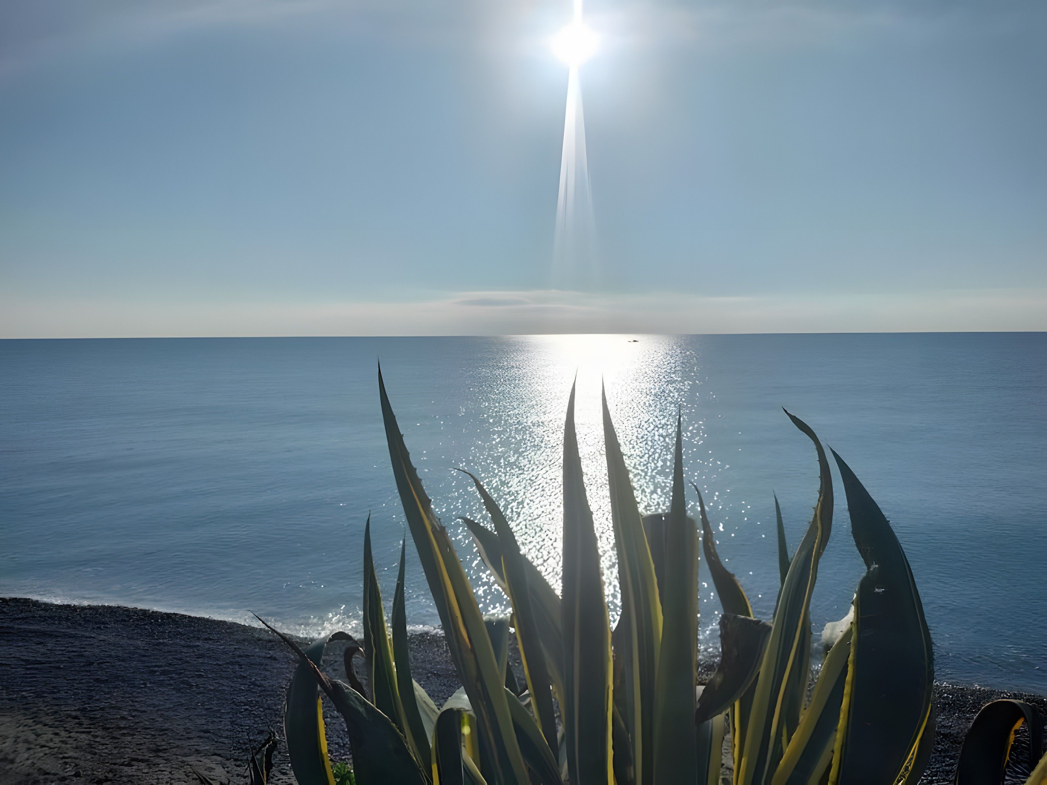 Een strand met een heldere lucht, zonlicht dat op het water reflecteert, en agaveplanten op de voorgrond.