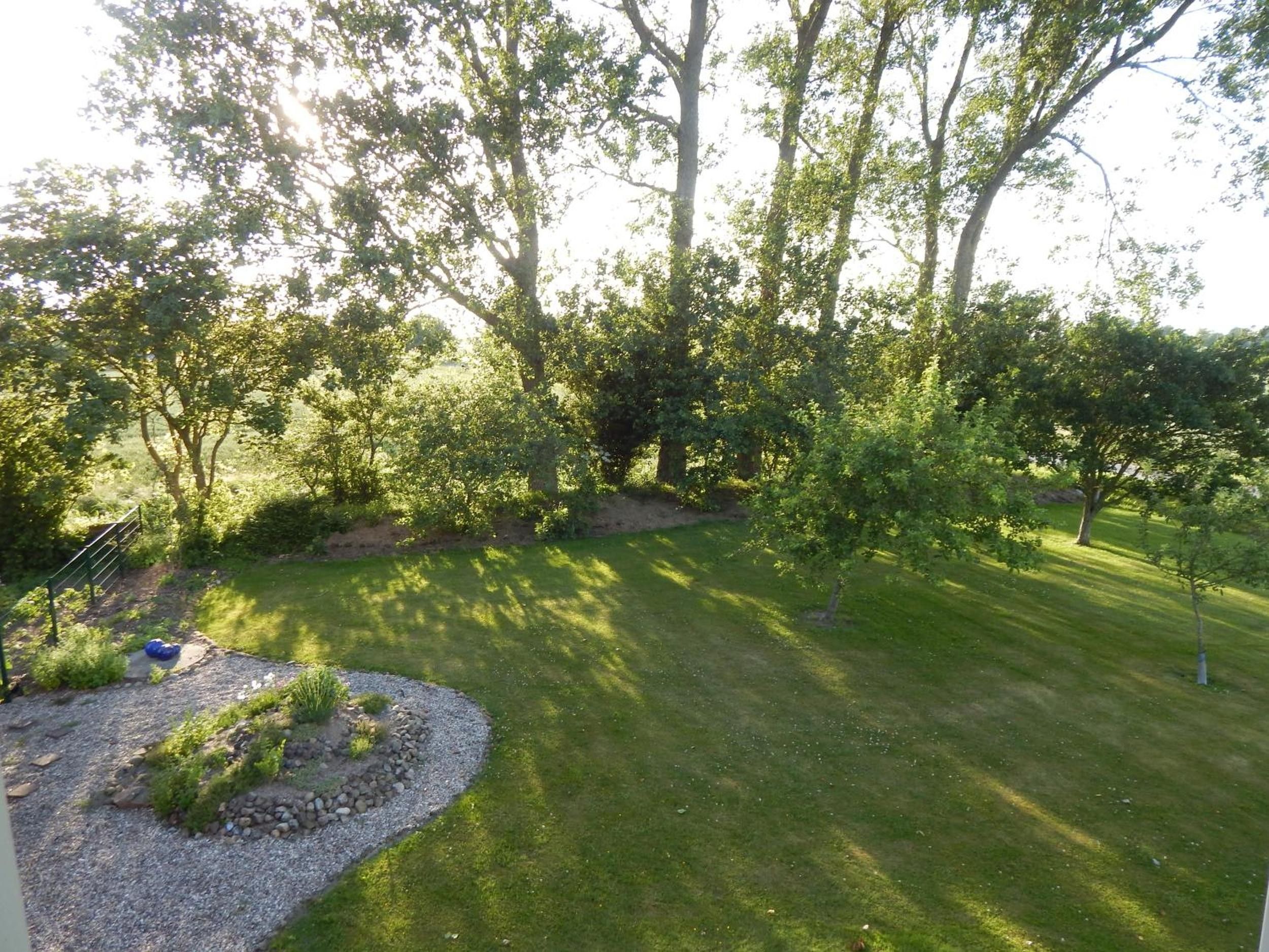 A well-maintained garden with a variety of trees and shrubs, a lawn, and a gravel path.