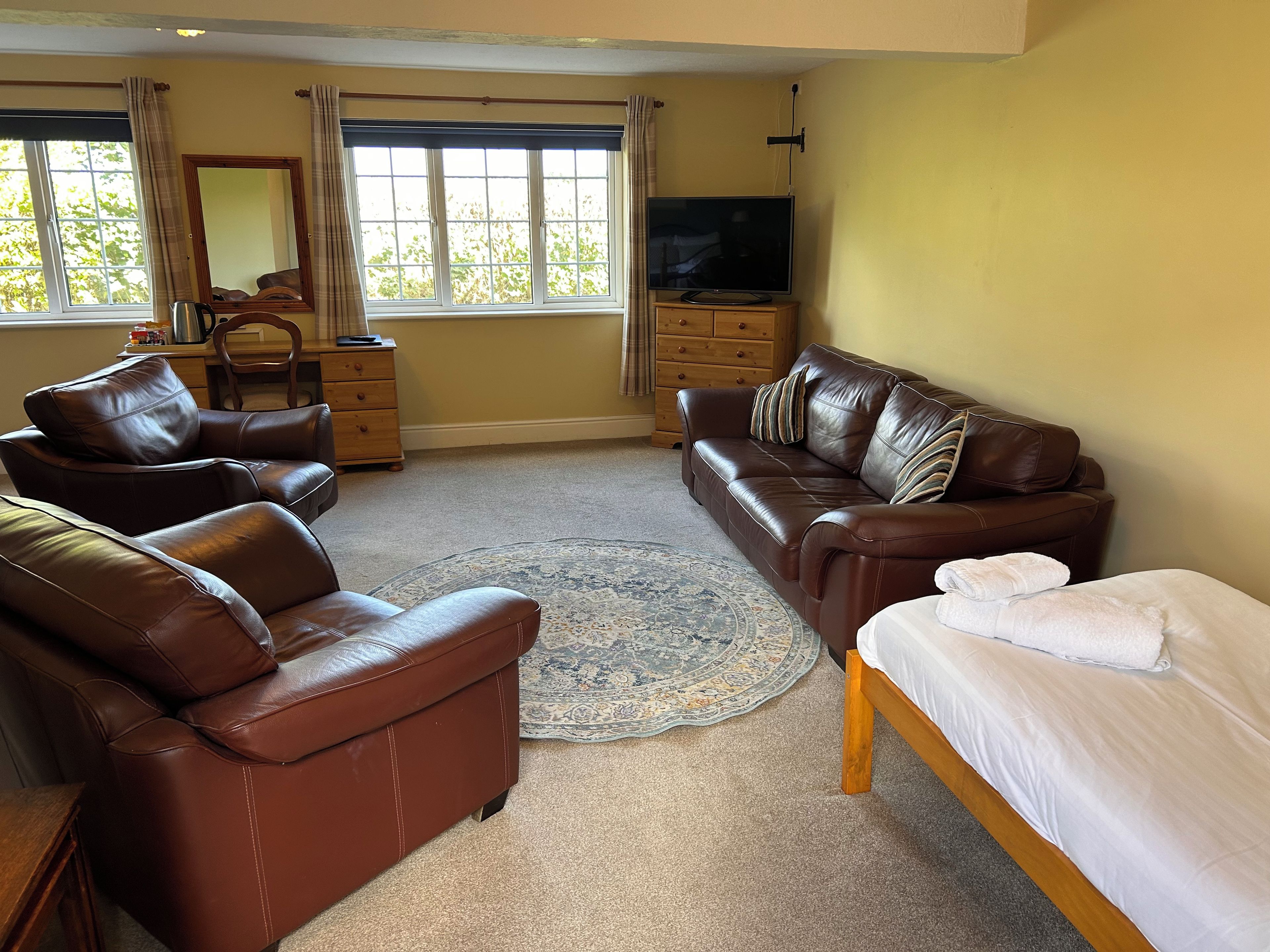 A room with a brown leather sofa, a matching armchair, a wooden bed, a TV, a dresser, and a large window with curtains.