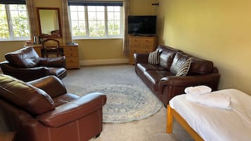 A room with a brown leather sofa, a matching armchair, a wooden bed, a TV, a dresser, and a large window with curtains.