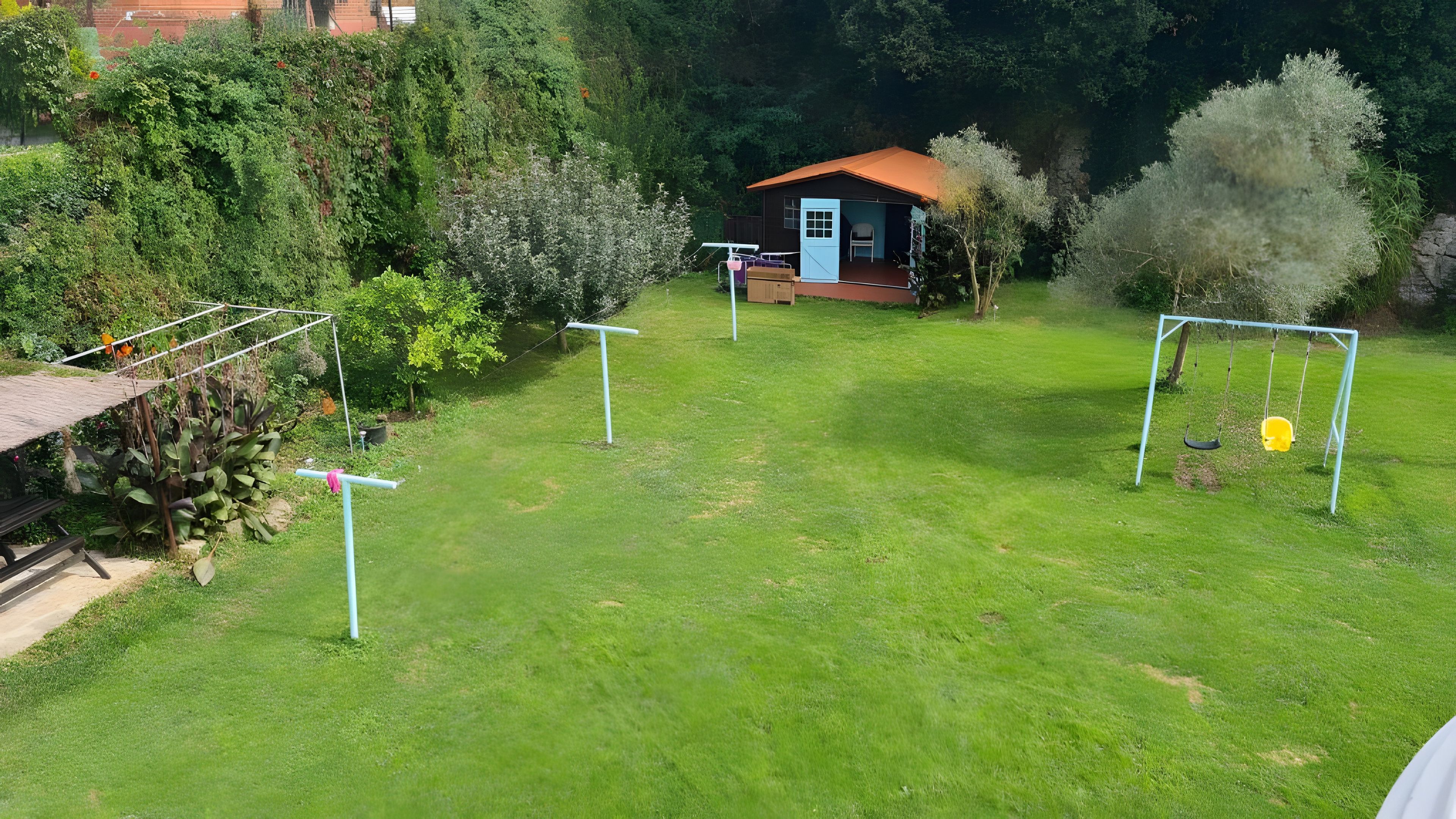 A grassy yard with a small house, a swing set, and a clothesline.