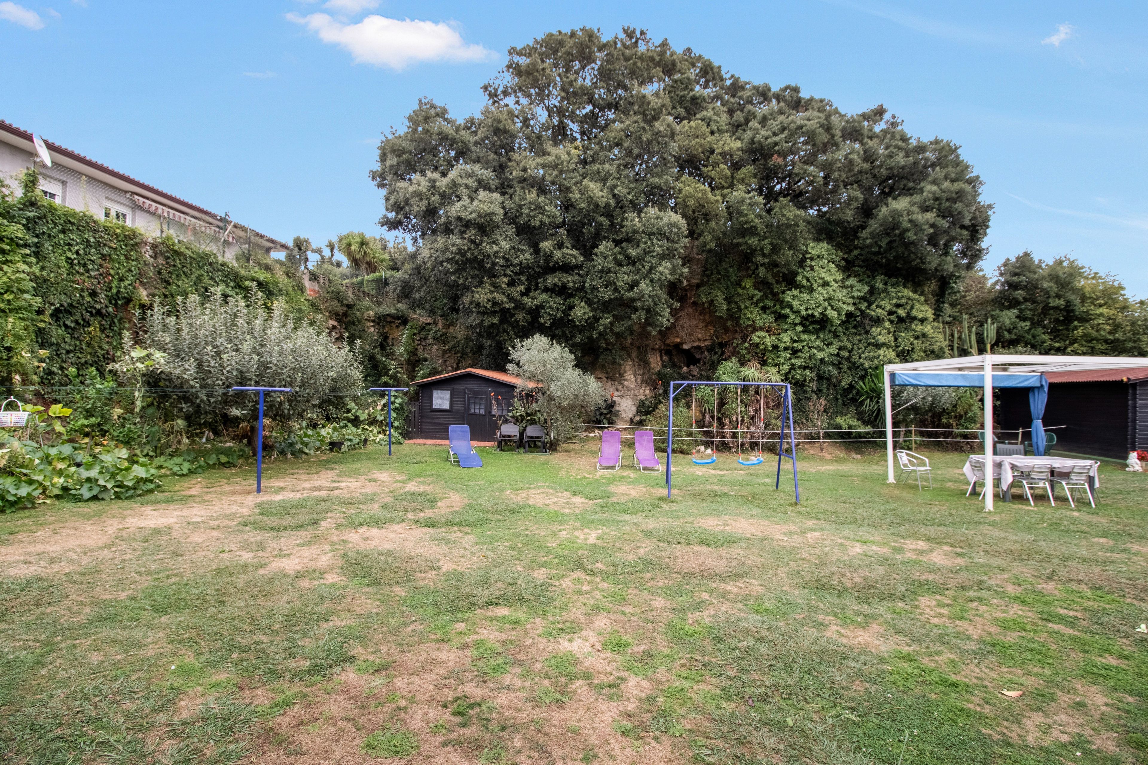 Een achtertuin met een schommel, een kleine tuinhuisje en een grote boom.
