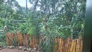 A bamboo fence with a dirt path and greenery in the background. - Room-tranquil Forest Studio Retreat in W (Westville)