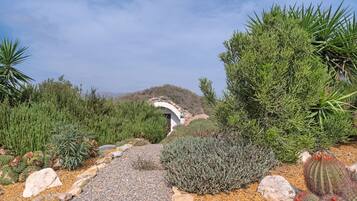 Un jardín desértico con diversos cactus y suculentas, un arco de piedra y un camino de grava.