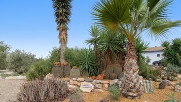 A desert garden with various cacti and a palm tree, a stone sign, and a white building in the background.