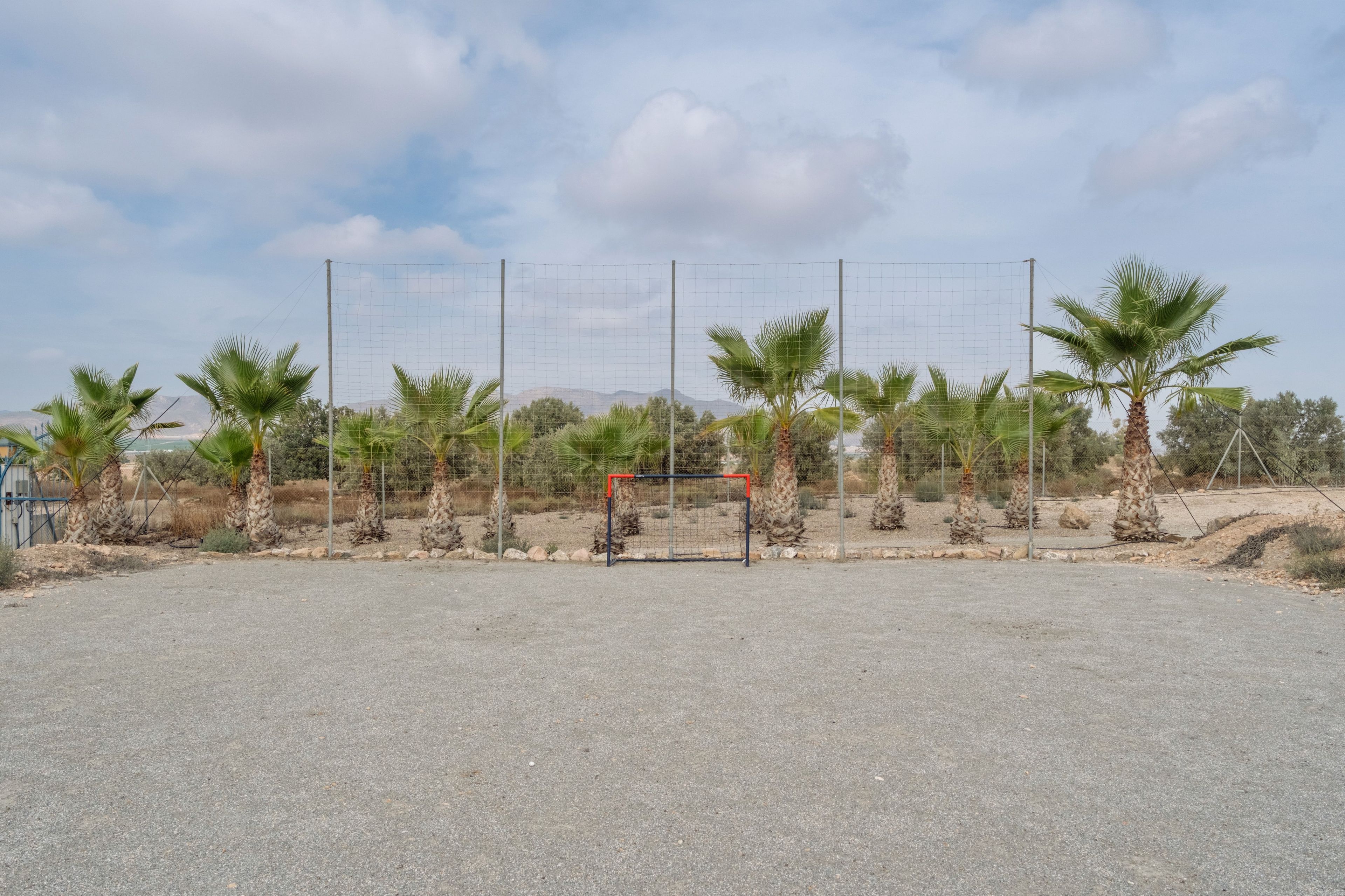 Un campo sportivo recintato con palme e cielo sereno.