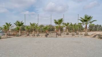 Un campo sportivo recintato con palme e cielo sereno.