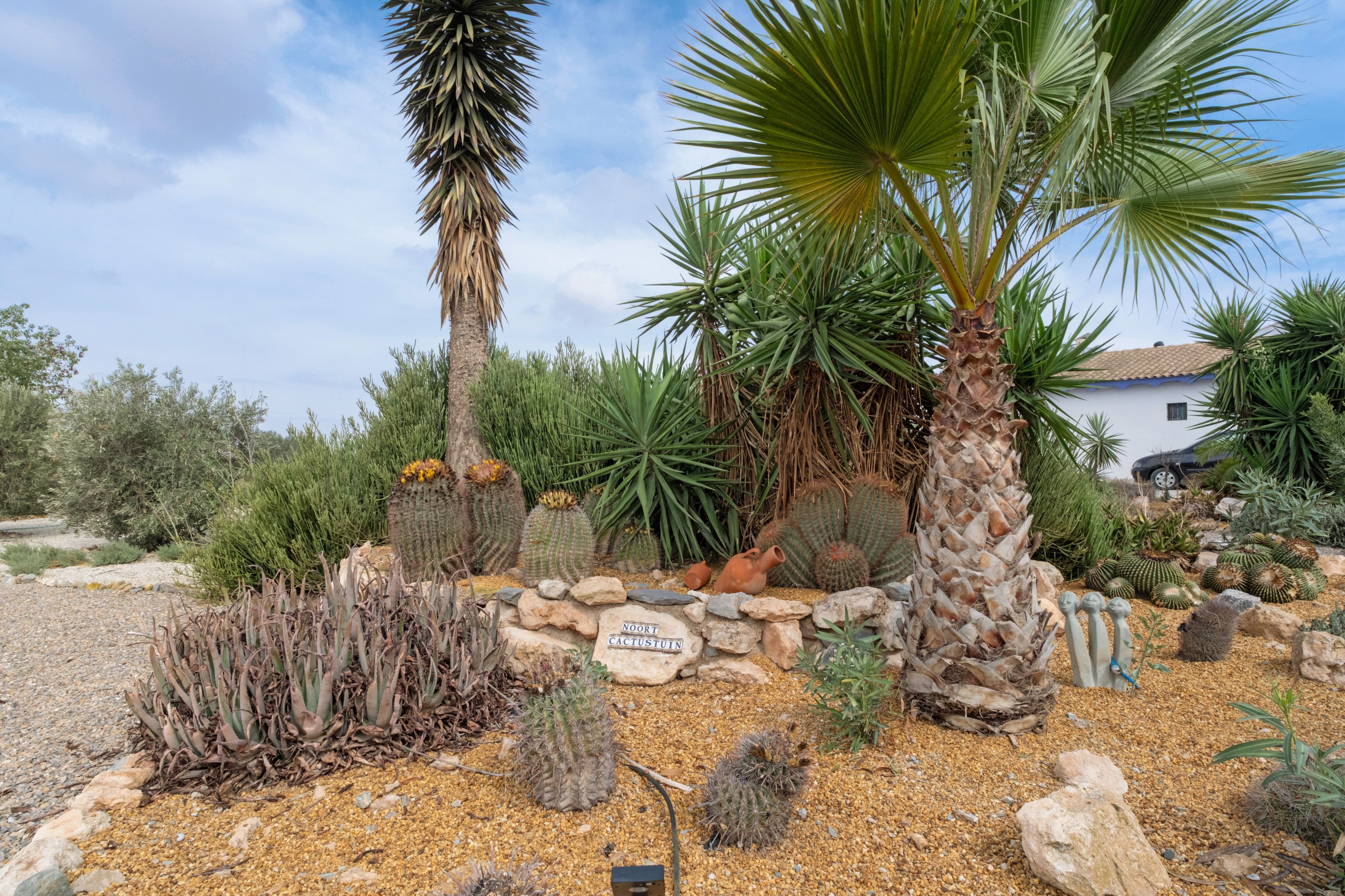 Un jardin désertique avec différentes espèces de cactus et un palmier, un panneau en pierre et un bâtiment blanc en arrière-plan.