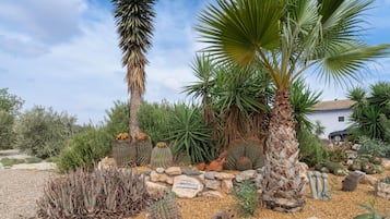 Un jardin désertique avec différentes espèces de cactus et un palmier, un panneau en pierre et un bâtiment blanc en arrière-plan.