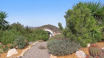 Paisaje desértico con un puente de piedra, diversos cactus y arbustos.