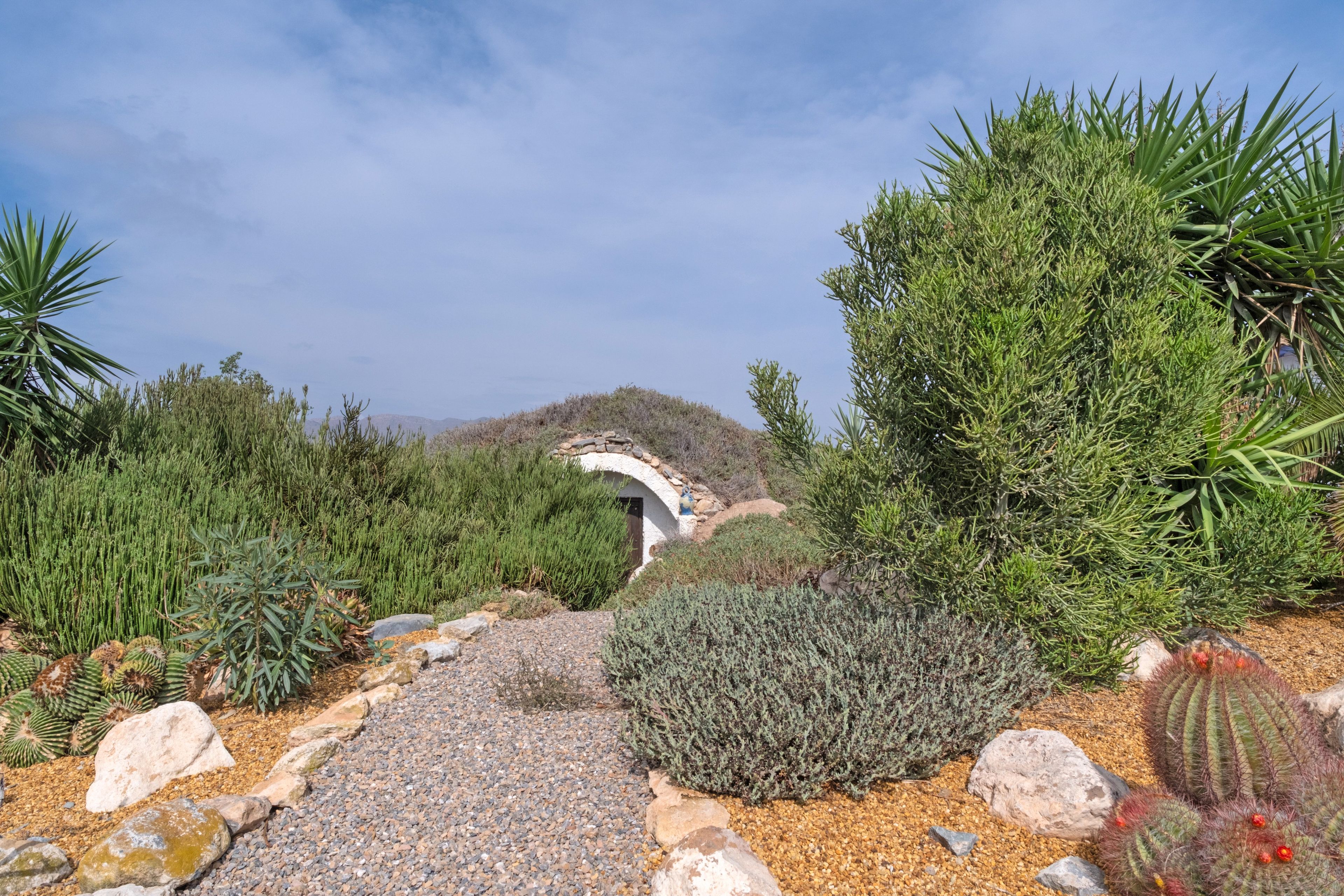 A desert garden with a variety of cacti and succulents, a stone archway, and a gravel path.