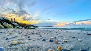 A beach with scattered seashells and a rocky shoreline. - Jensen Beach 3BR/3BA Family Retreat + Game Room (Jensen Beach)
