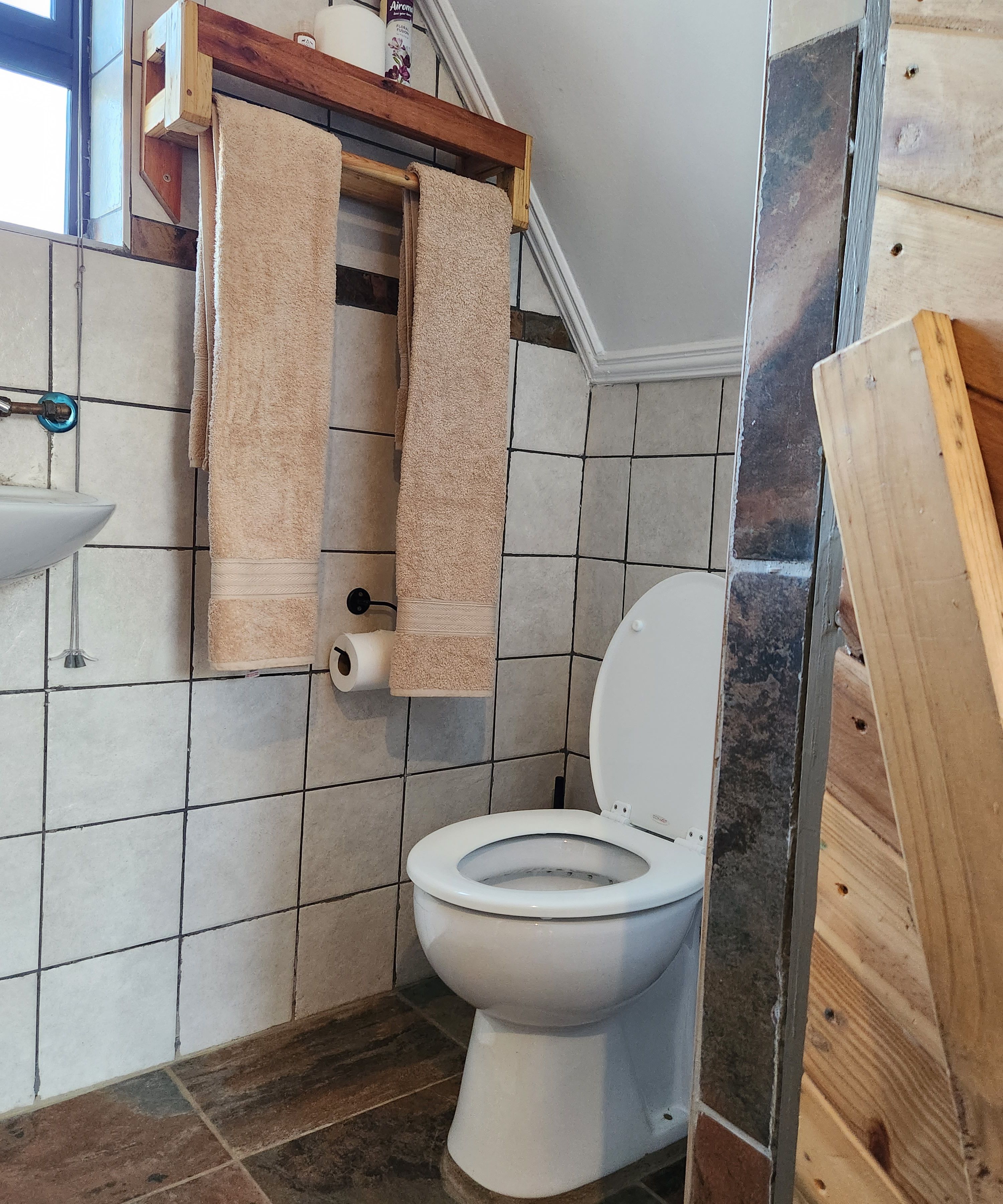 Ducha, secador de pelo, toallas, jabón