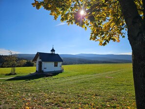 Una piccola chiesa bianca con un campanile, circondata da un prato erboso e alberi con foglie autunnali.