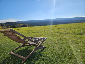 A wooden lounge chair in a grassy field with a clear sky and distant hills. - Holiday Home Kretscham with Private Terrace and Garden (Sehmatal)