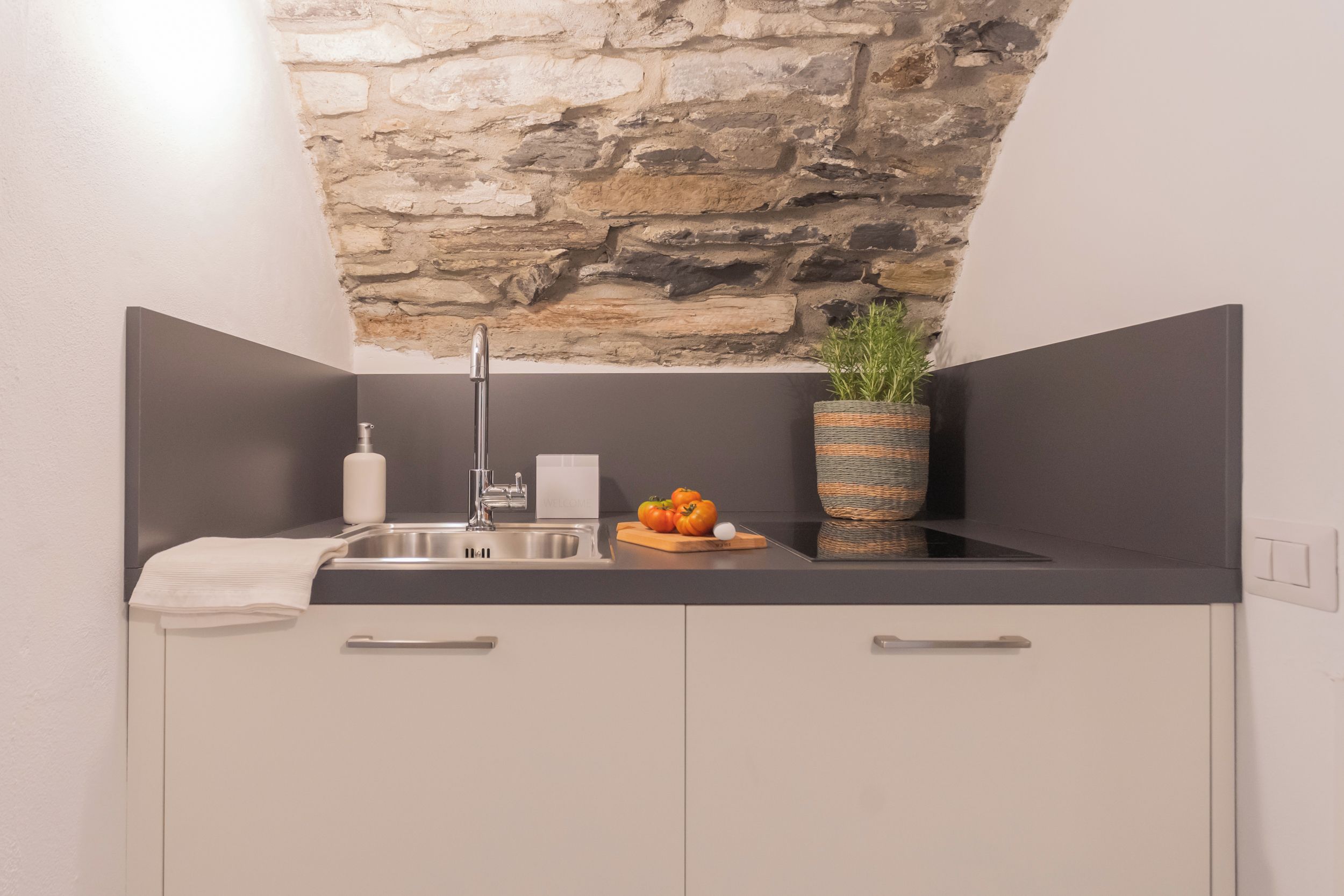 Een moderne keuken met een accentmuur van steen, een spoelbak en een potplante.