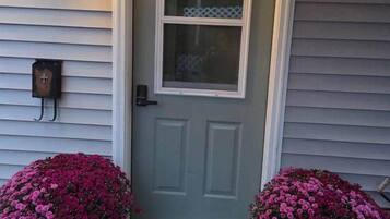 A front door with a window, a mailbox, and two flower pots with pink flowers.
