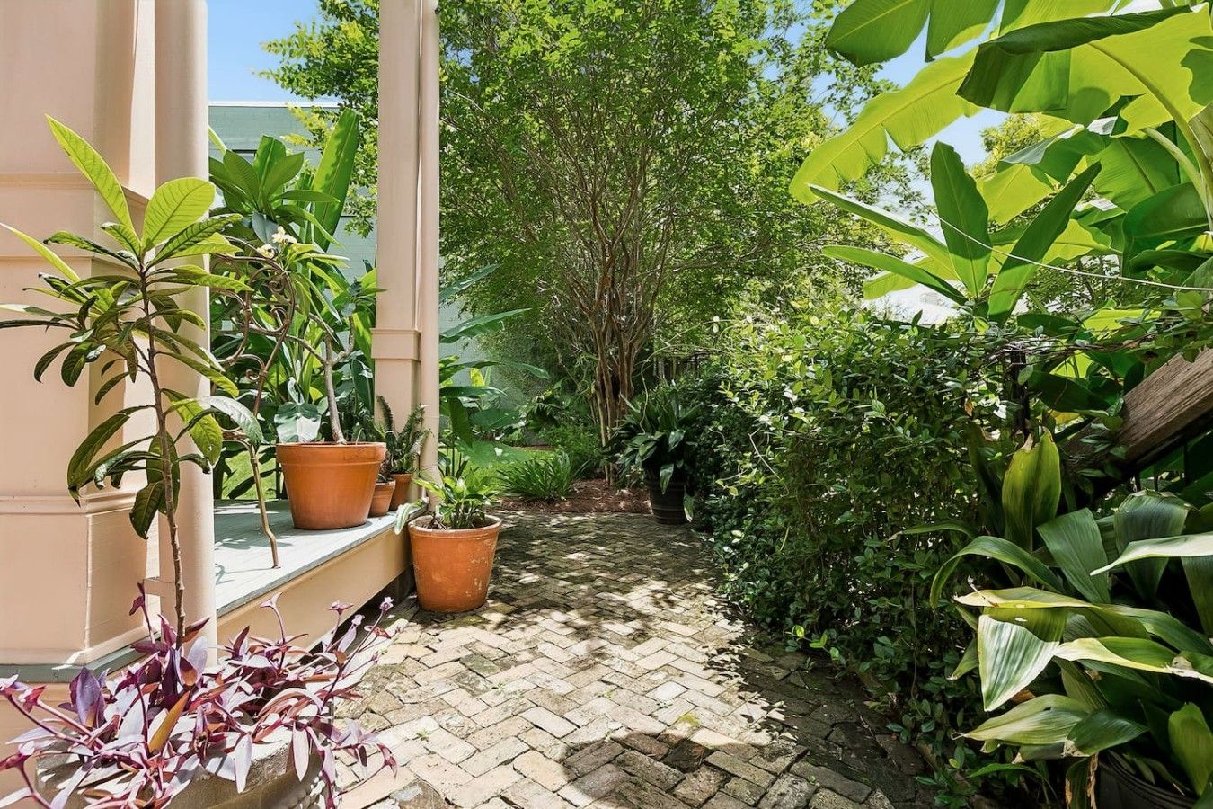 A narrow stone pathway flanked by lush greenery and potted plants, leading to a building with a beige facade.
