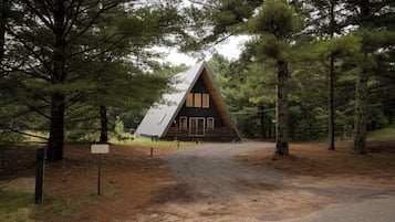 A cabin with a sloped roof, surrounded by trees.