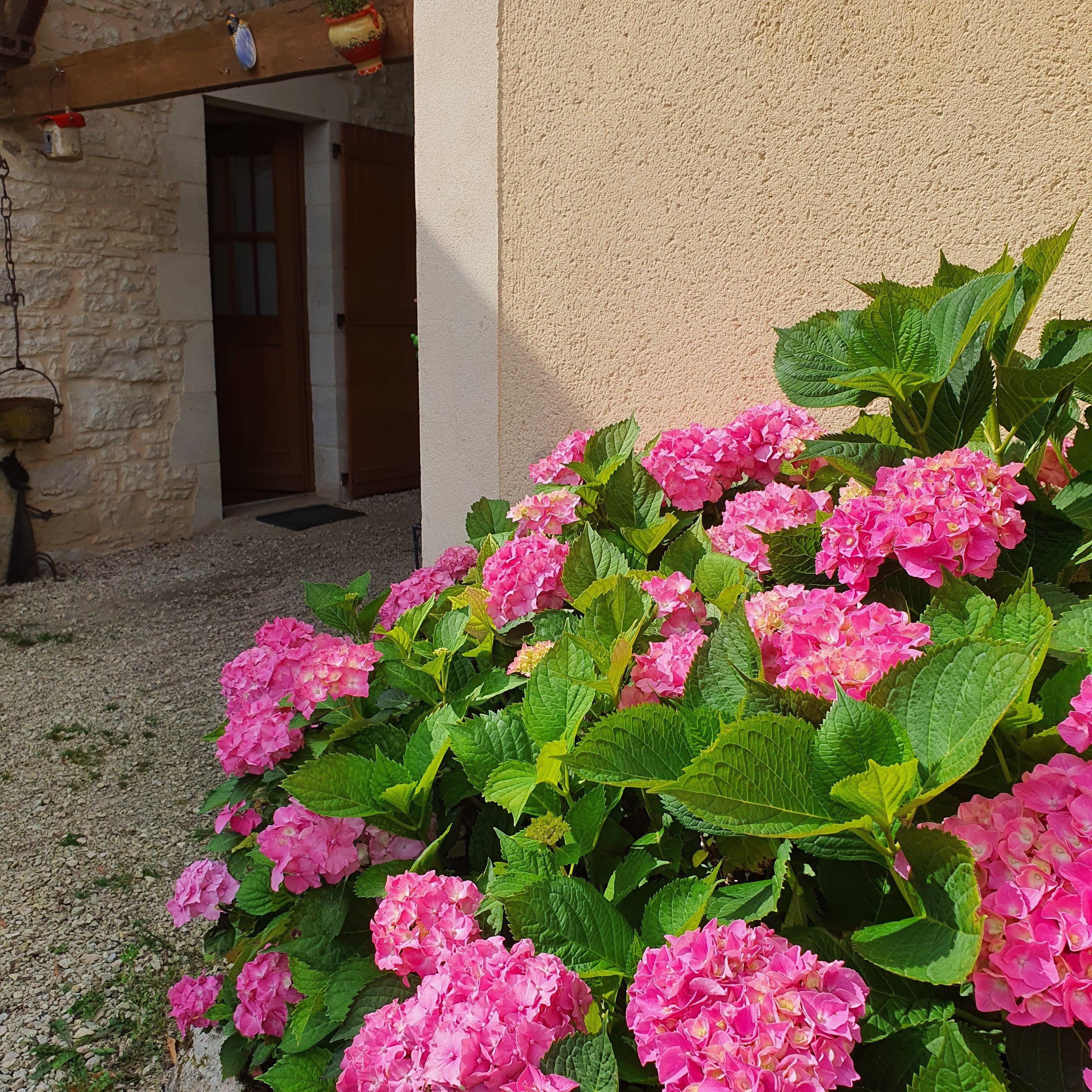 Un jardín con flores rosas y un edificio de piedra con una puerta.