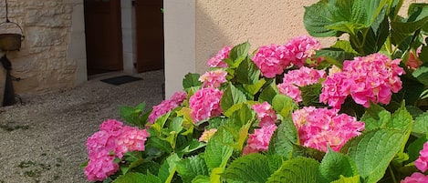 A garden with pink flowers and a stone building with a door.