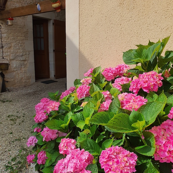 A garden with pink flowers and a stone building with a door.