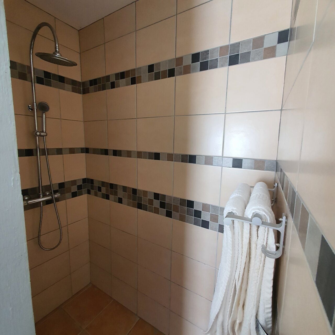 A shower area with a handheld showerhead, a towel rack with towels, and a tiled wall with a decorative border.