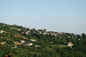 A hillside settlement with residential buildings, some with red roofs, surrounded by greenery. - "Arethousa Cozy Junior Suite" Room with Mountain View and Fireplace (Μακρινίτσα)