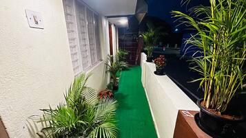 A narrow balcony with a green carpet, potted plants, and a white wall with a light switch.