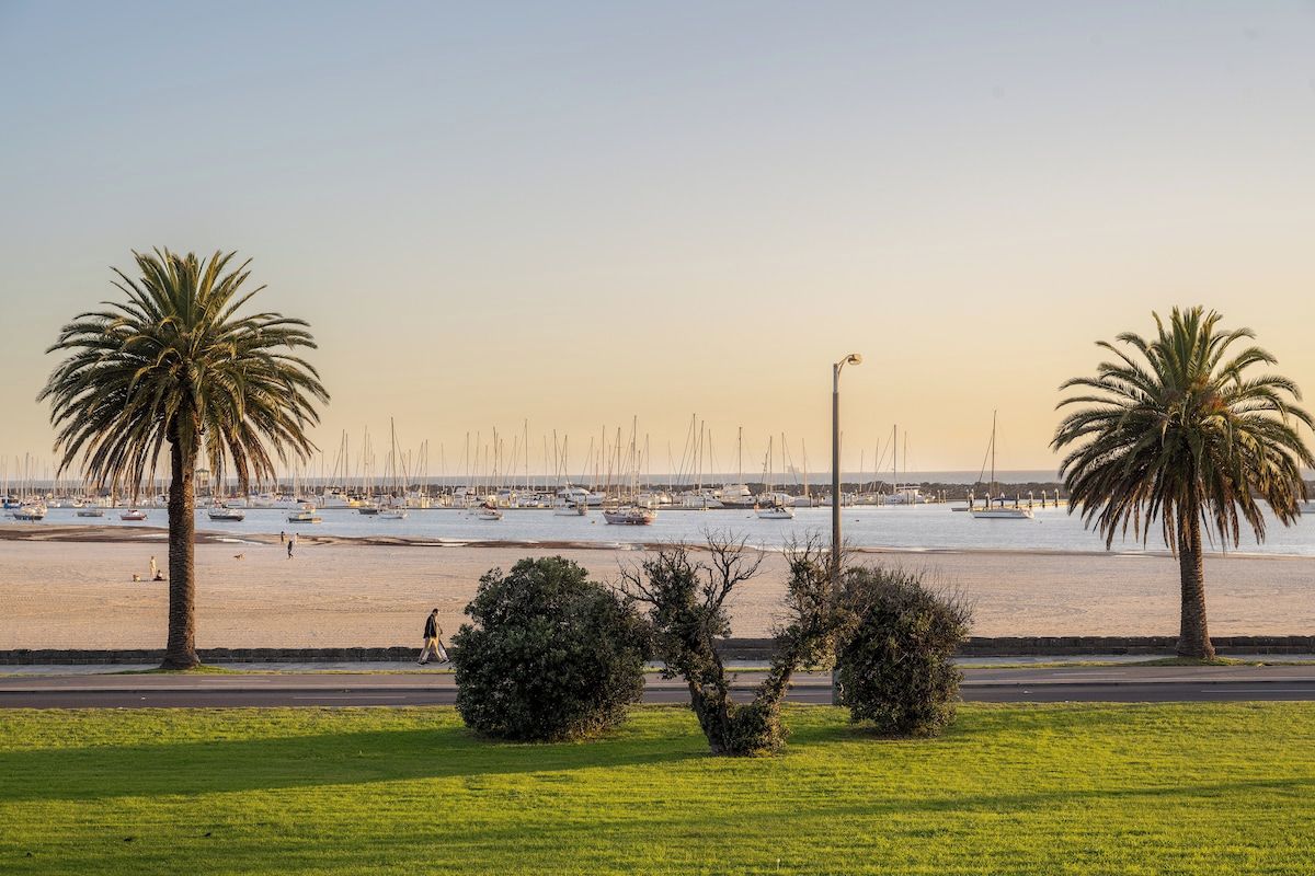 A beach with palm trees, a road, and boats in the background.